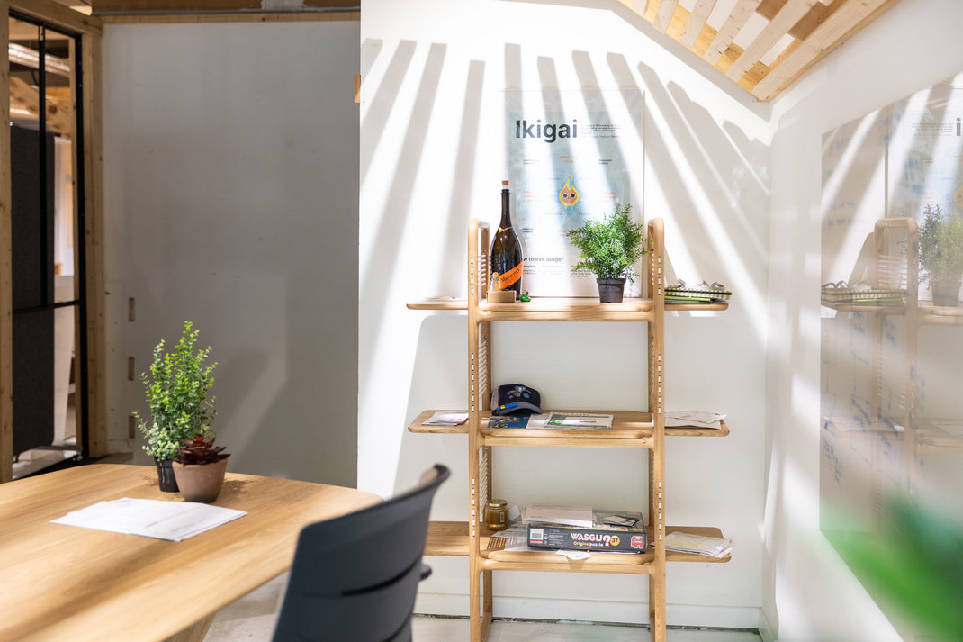 Modern office space with wooden shelves, desk, and plants.
