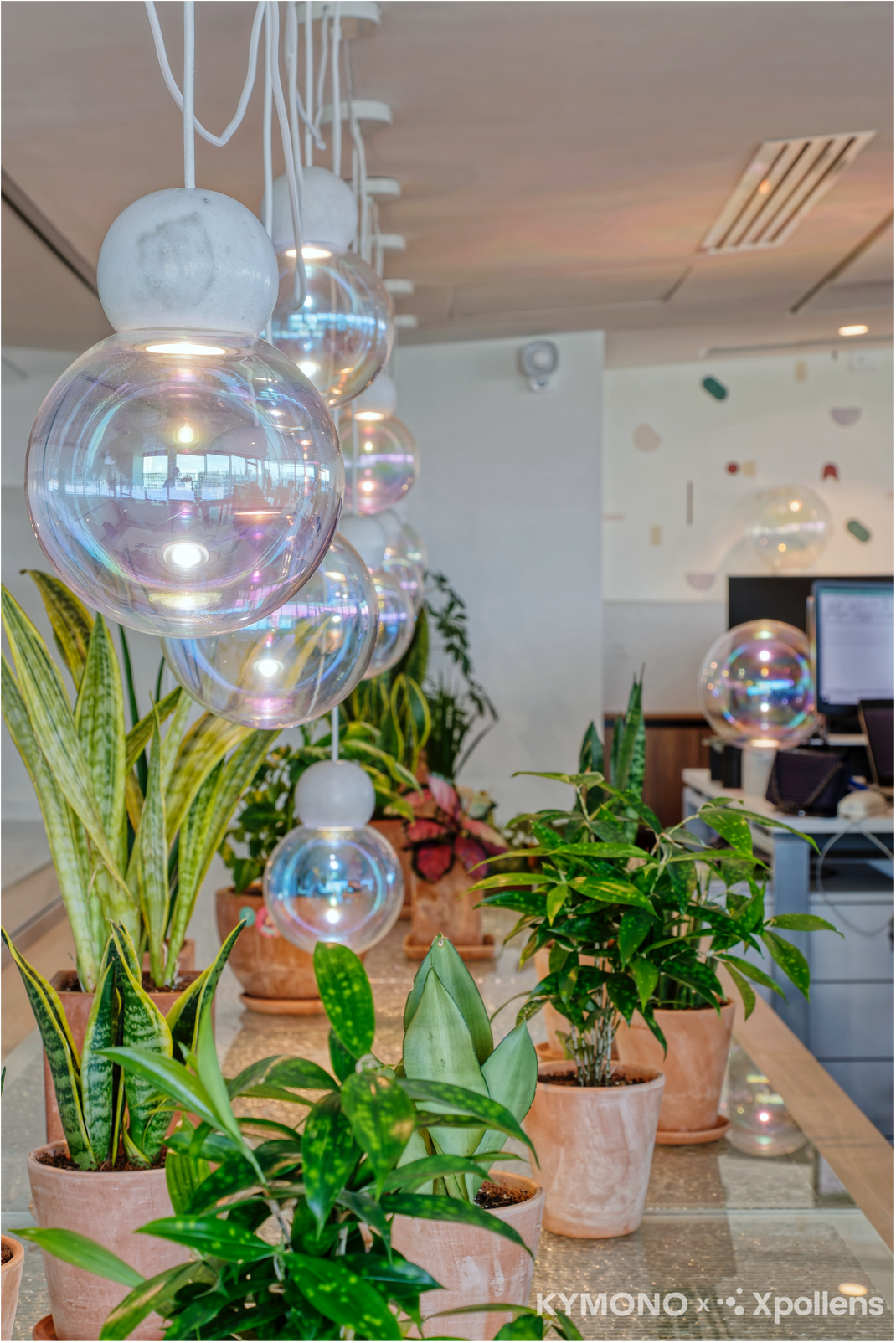 Modern interior with spherical pendant lights and potted plants