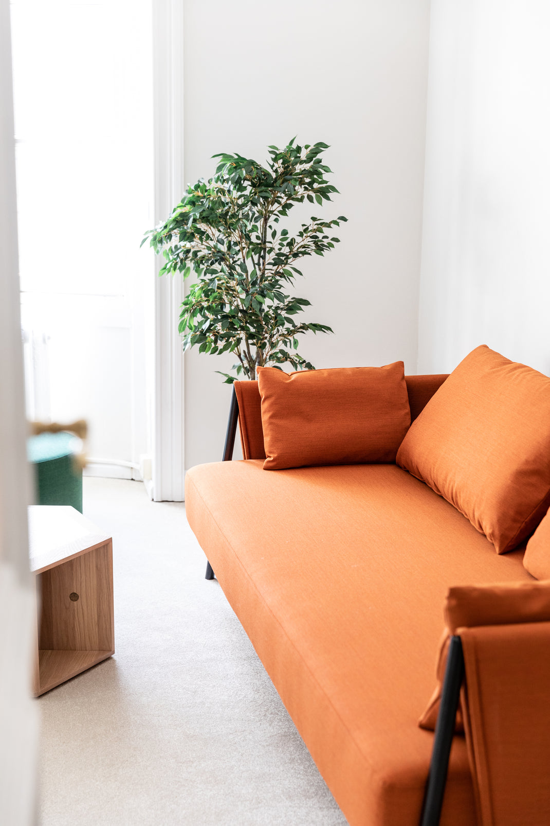Orange sofa with cushions in a bright room with a plant