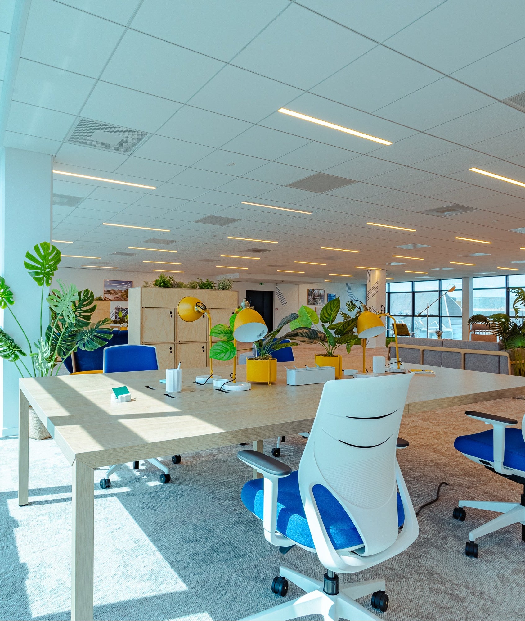 Modern office space with desks, chairs, and large windows.