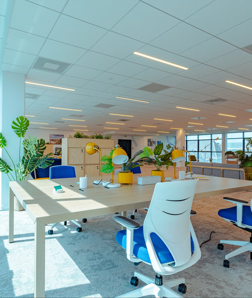 Modern office space with desks, chairs, and large windows.