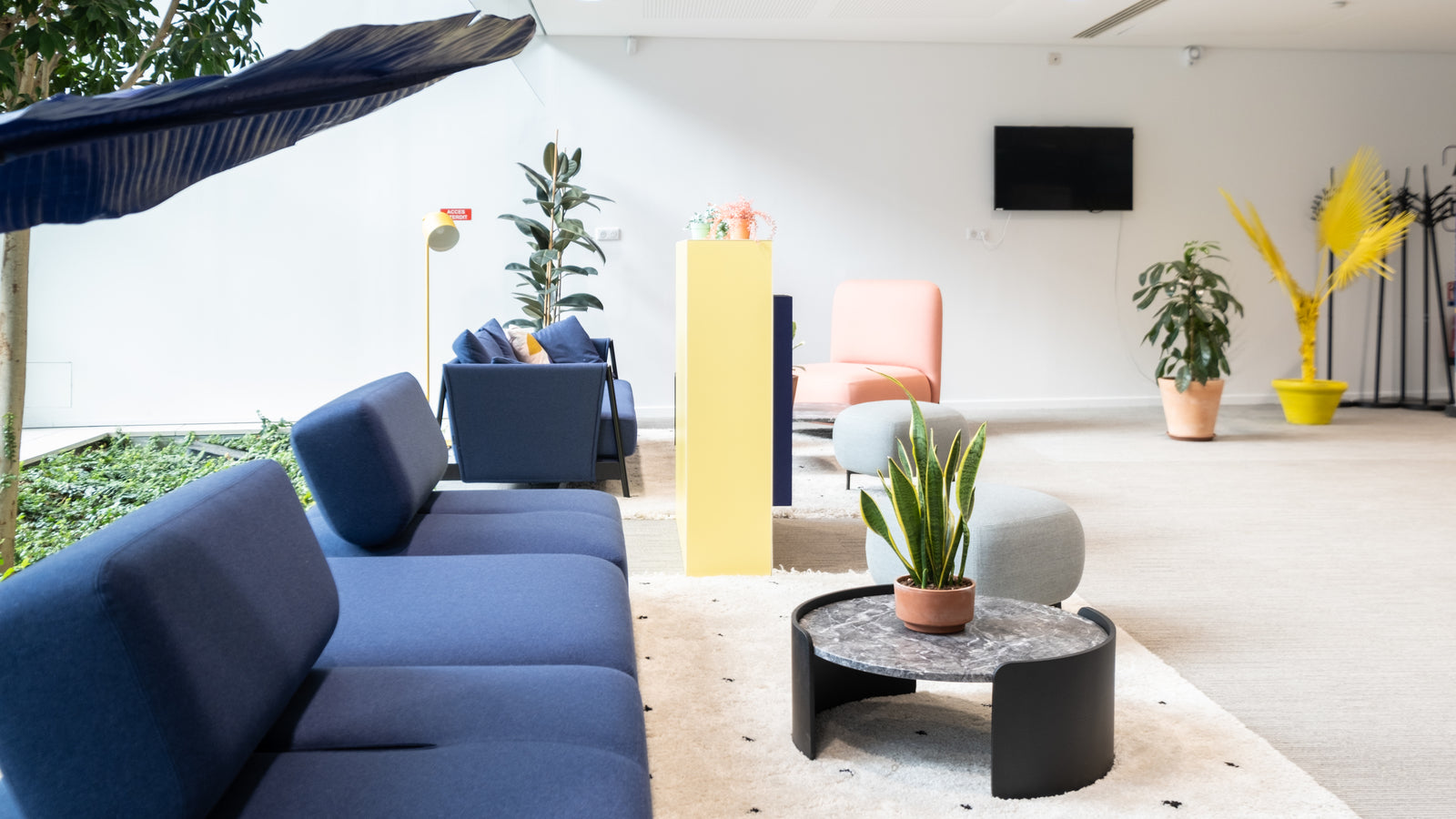 Modern office lobby with blue couches, decorative plants, and a TV.