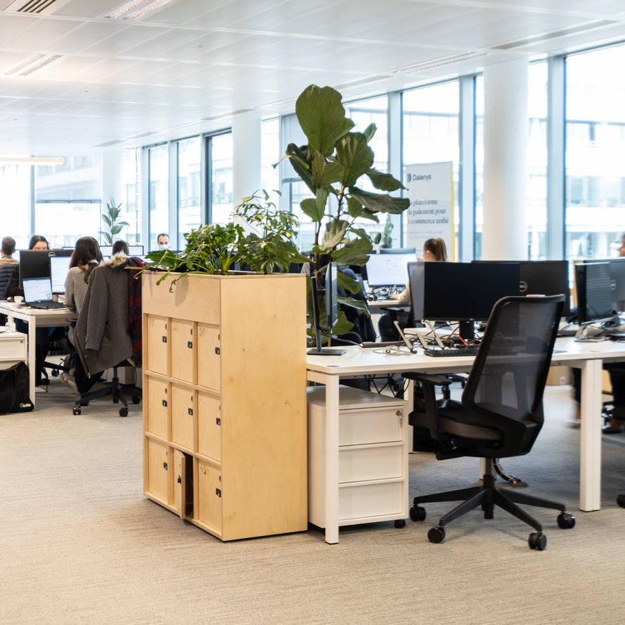 Modern office with egonomic desks, chairs, and large windows