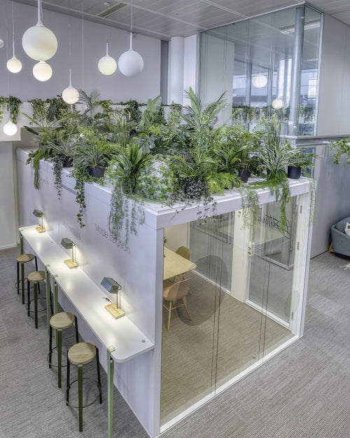 Modern office space at Payplug furnished with a raised garden wall filled with plants, stools, and tables from Enky. 