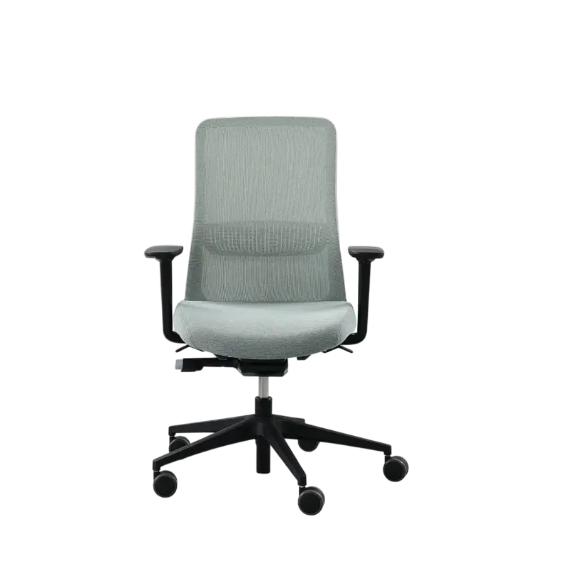 Eira Task Chair