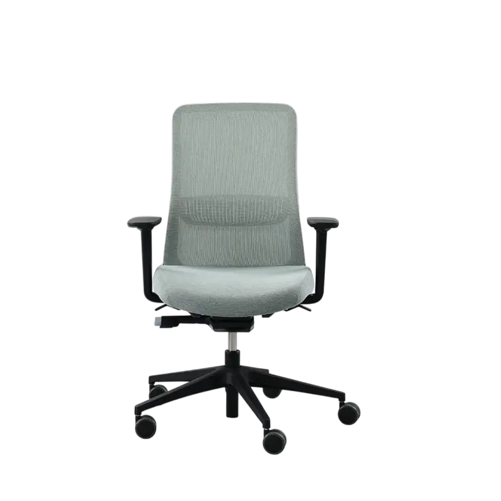 Eira Task Chair