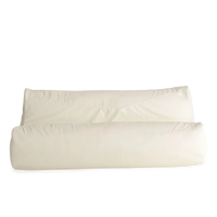 Fluid Sofa/Bean Bag
