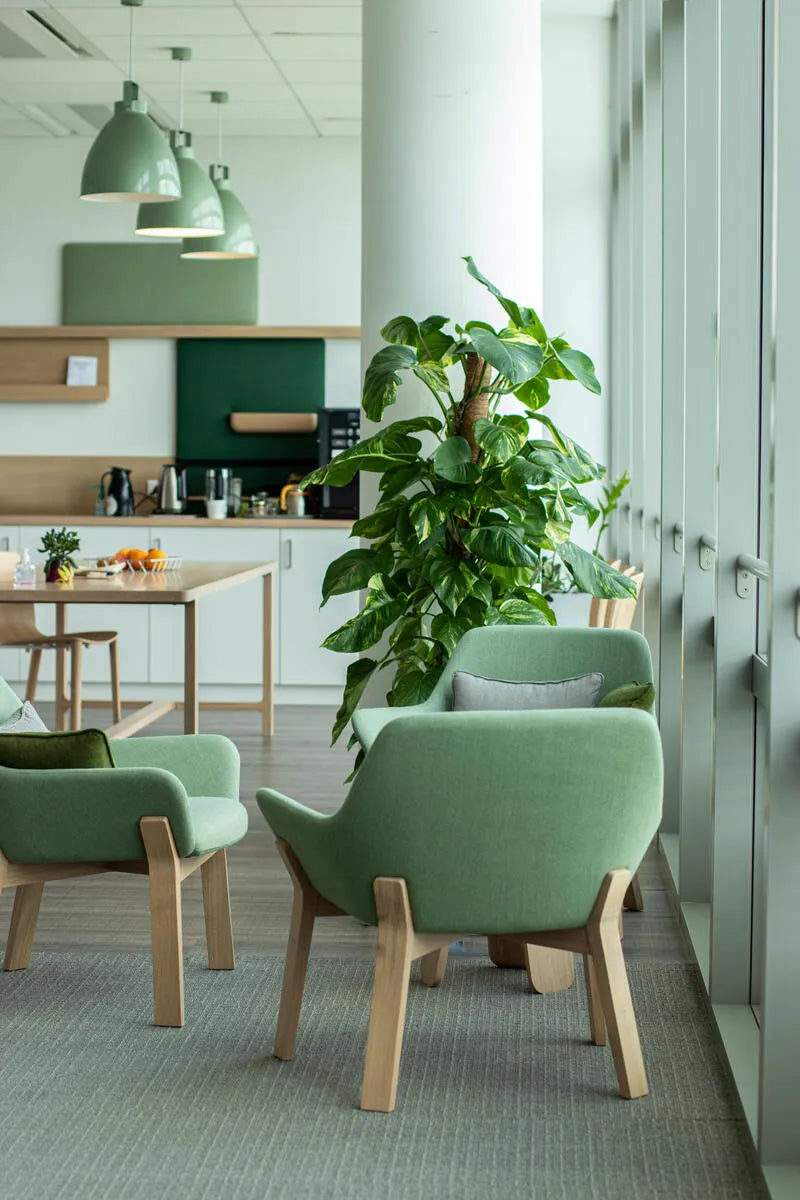 Koila Lounge Chair