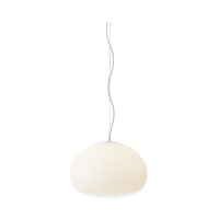 Fluid Pendant Lamp