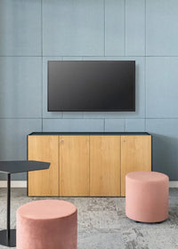 Viga Cabinet - Veneer
