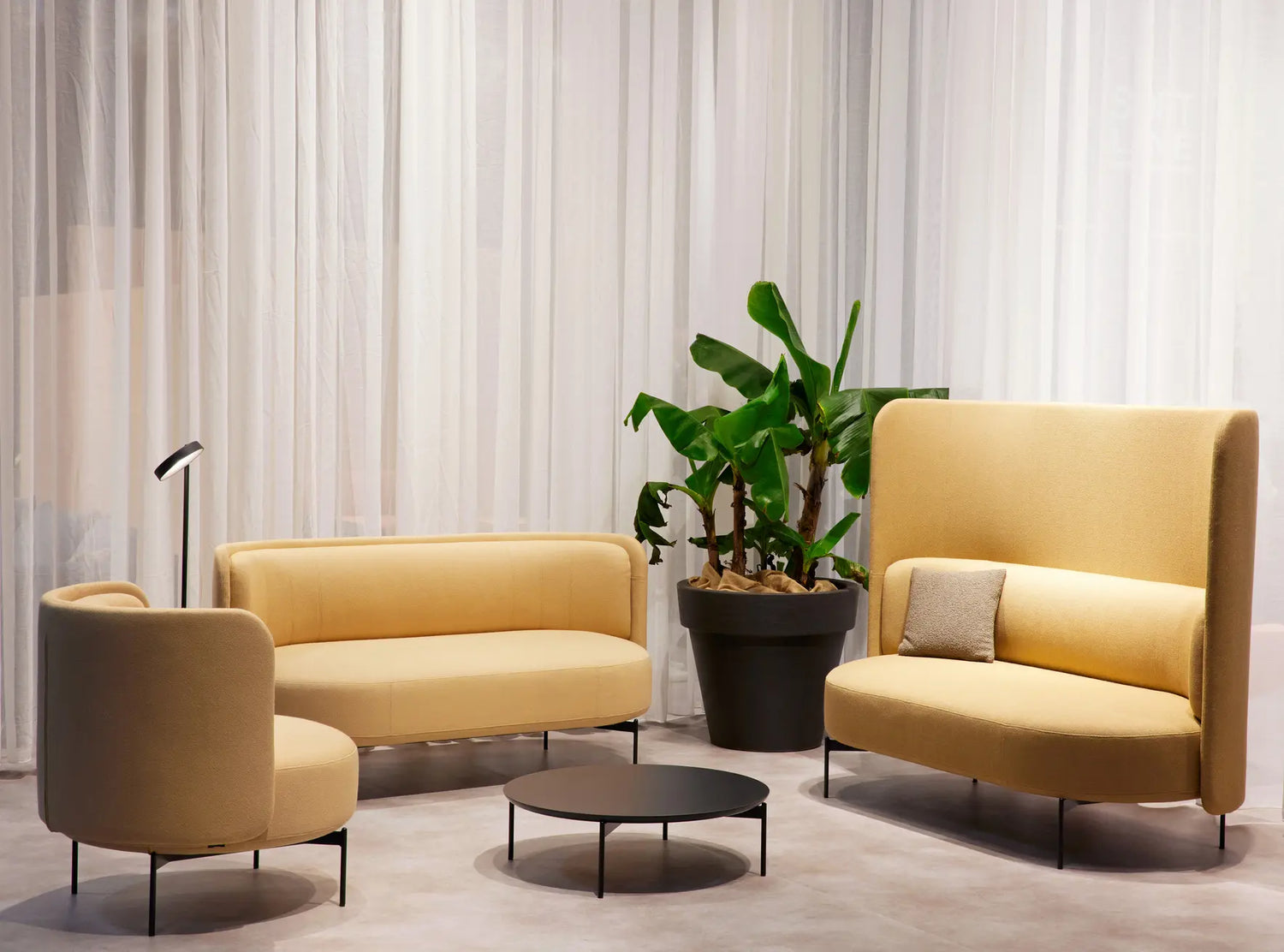 Chaise Joe Basse