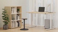 EASY Sit-stand Desks