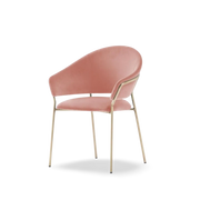 Jazz 3716