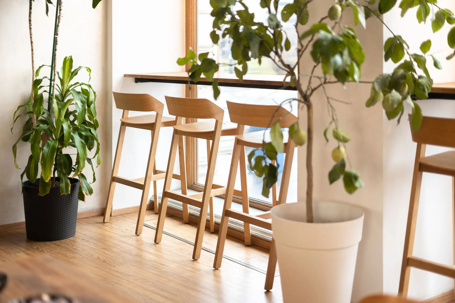 Fauteuil Merano