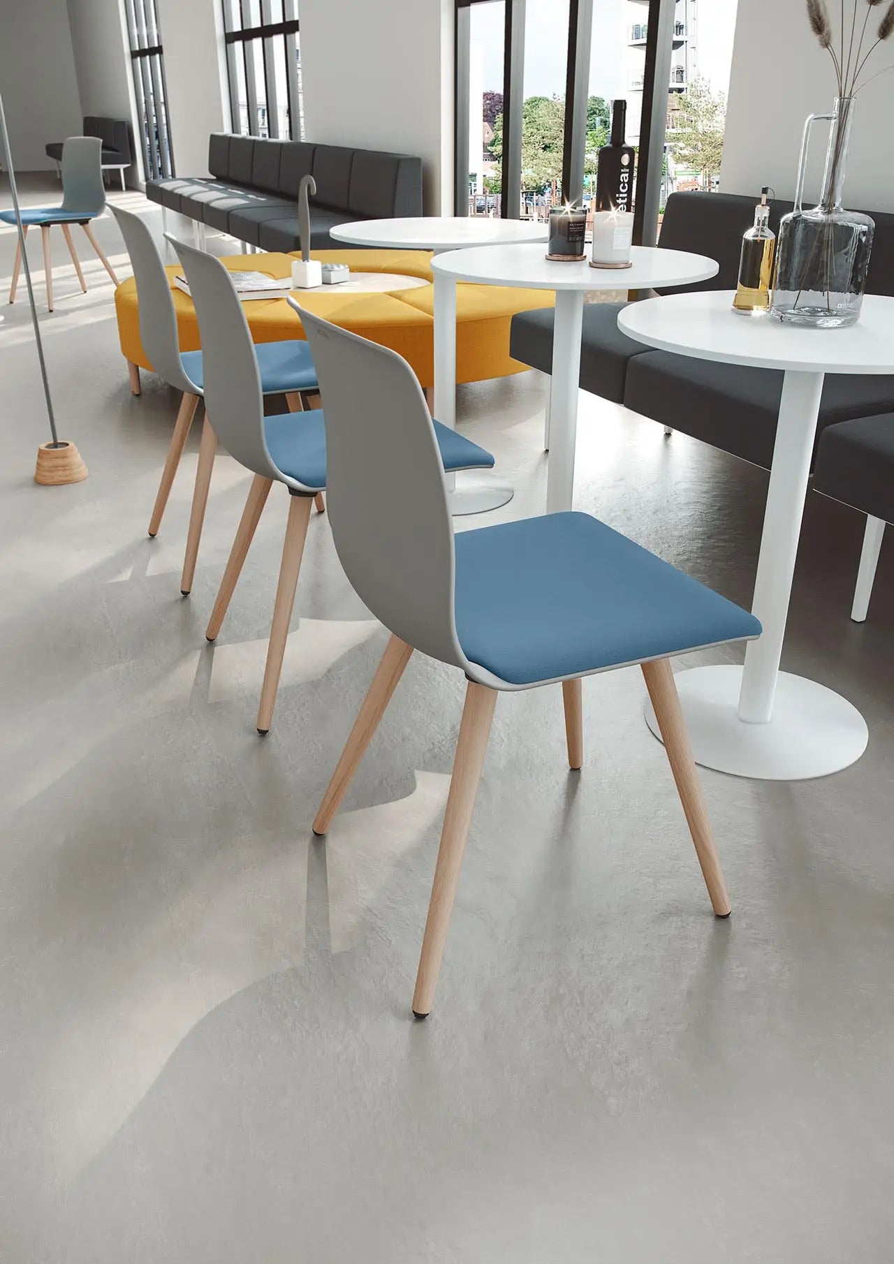 Noom 50 - Cantilever