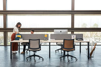 Vital Pro Twin Desk 