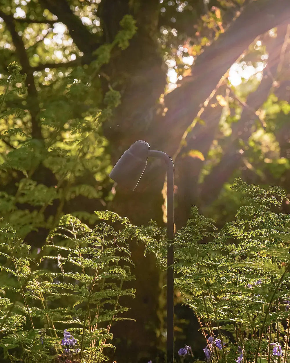 Ealing Path Spotlight - Outdoor