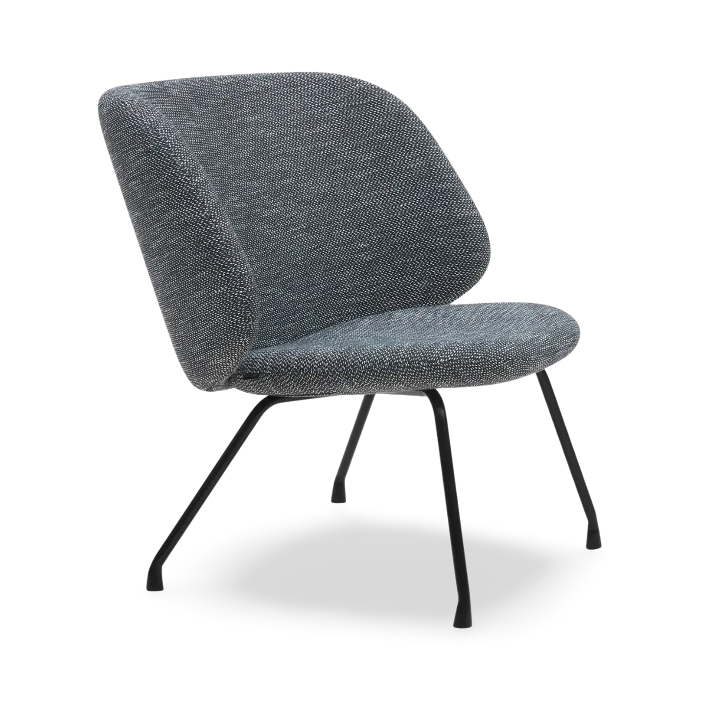 Evy Lounge Chair