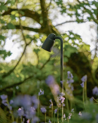 Ealing Path Spotlight - Outdoor