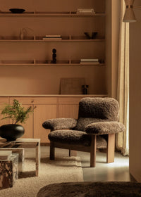 Brasilia Lounge Chair Low Back