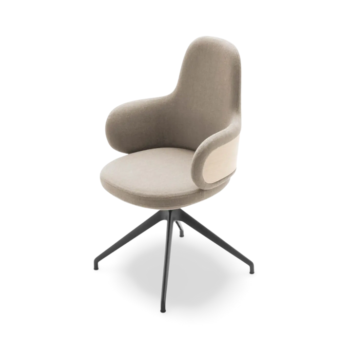 Lan Meeting Chair