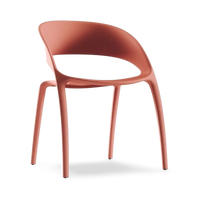 Bee Outdoor Chair