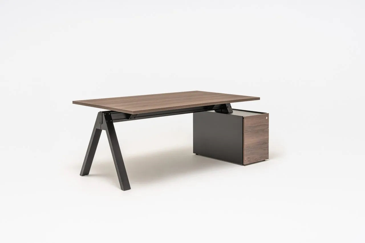 Viga Executive Desk with Pededstal