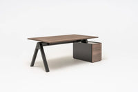 Viga Executive Desk with Pededstal