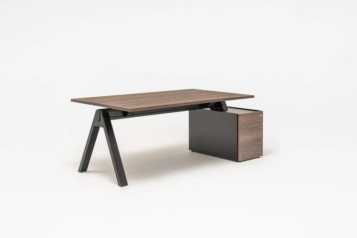 Viga Executive Desk with Pededstal