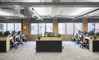 Desk End Planter Cupboards/Lockers