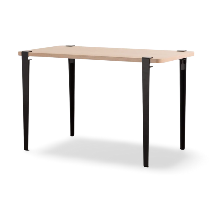 Desk Leg (Leg Only)