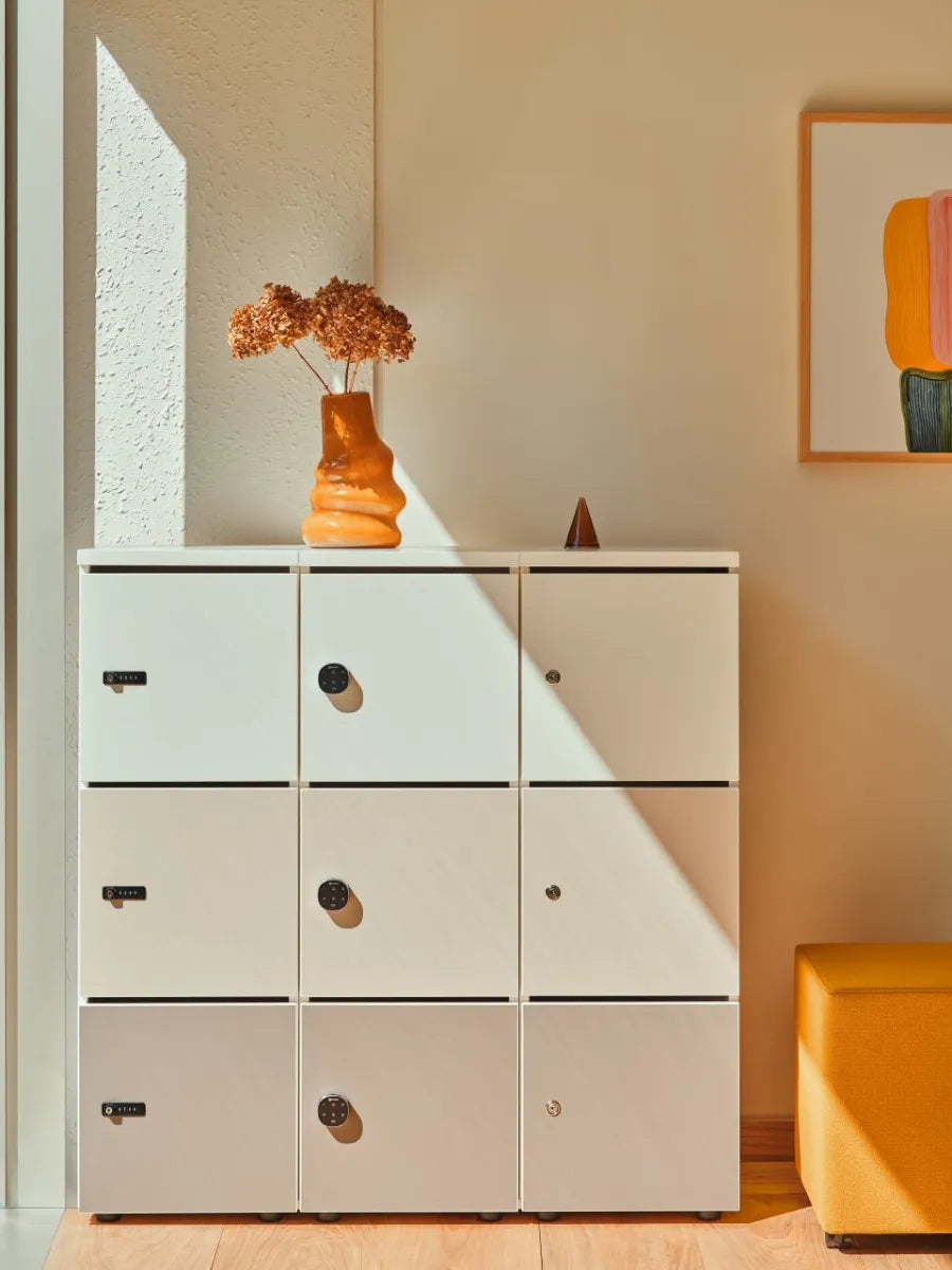 Locker Standard System
