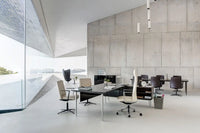 Longo Desk With Cabinet Support - Executive