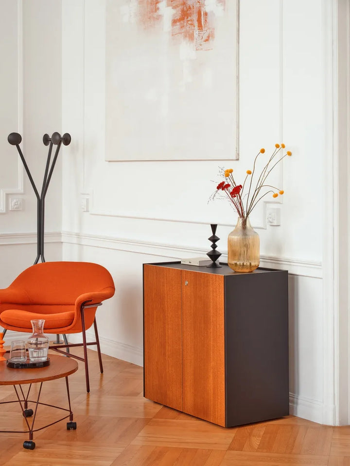 Viga Cabinet - Veneer