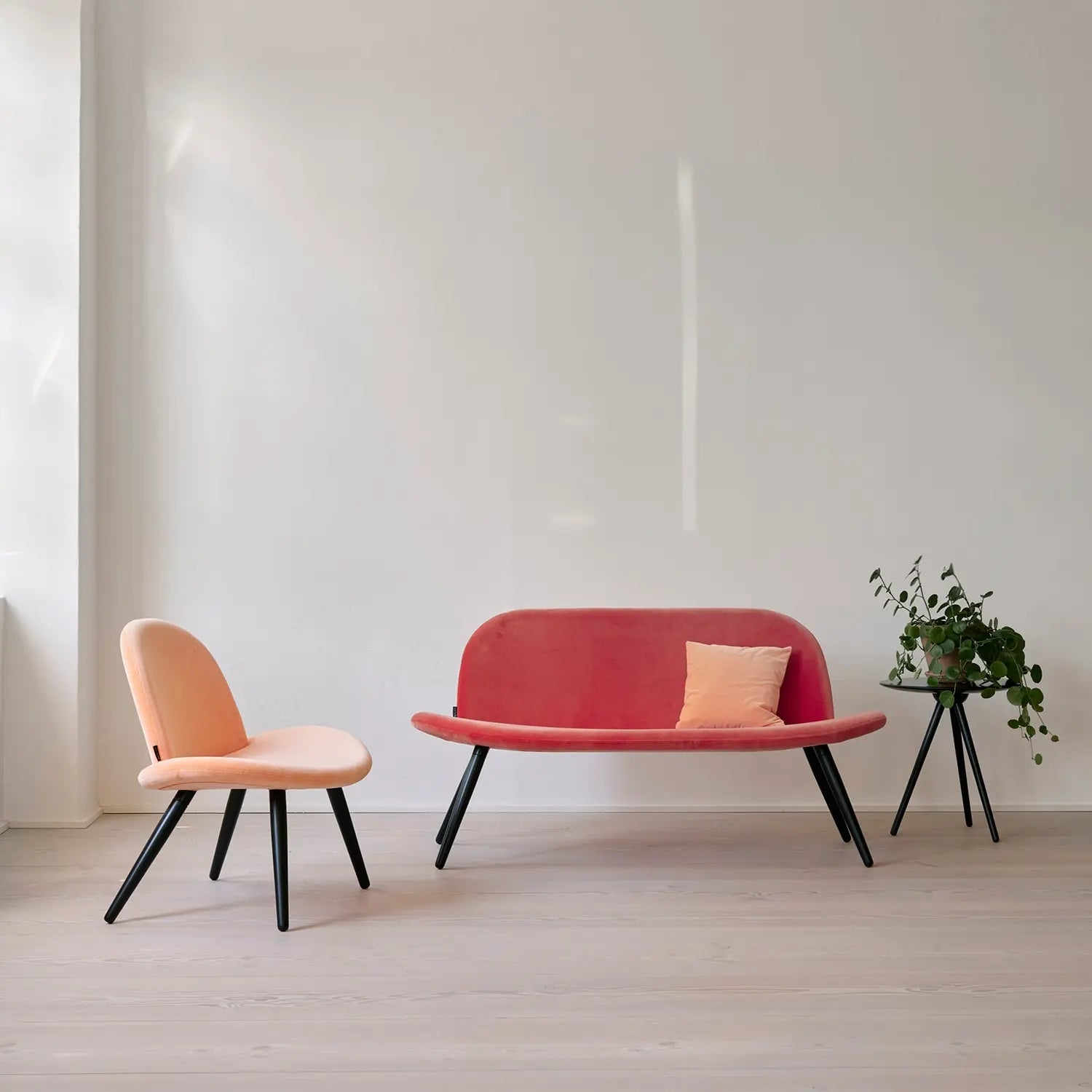 Banc En Bois Orlando