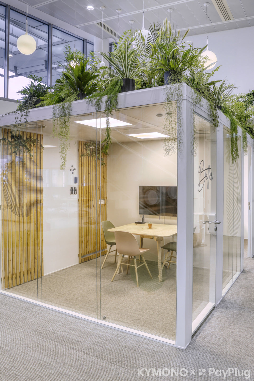 Modern office space with a glass partition, plants, and a desk.
