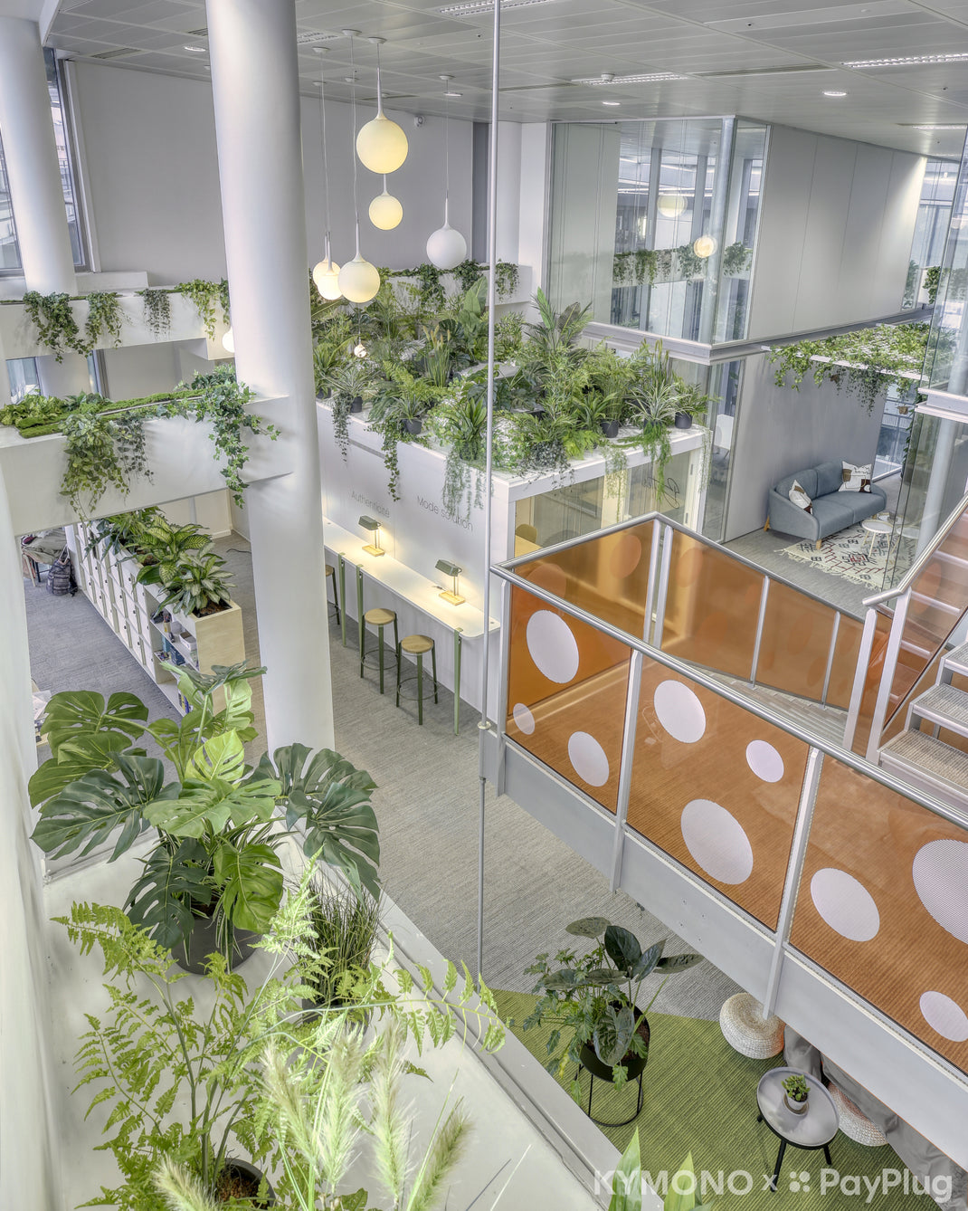 Modern office interior with green plants and a polka dot wall.