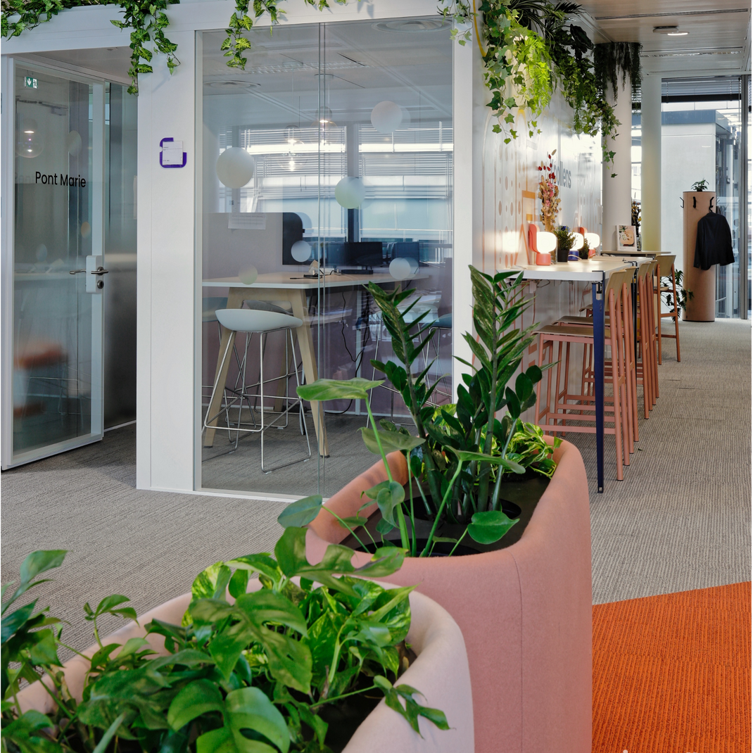 Modern office interior with plants and a glass partition.
