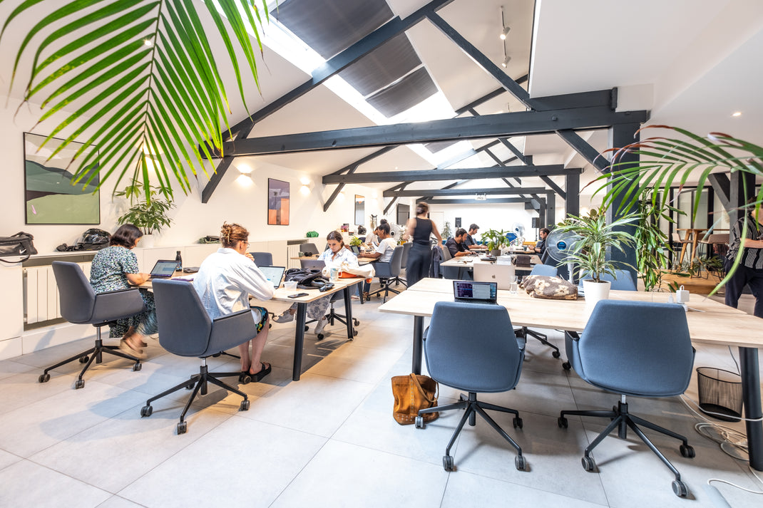 Modern office space with people working at desks, plants, and large windows.